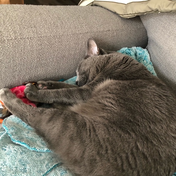 Meet your Posher, Floyd - Picture 8 of 15